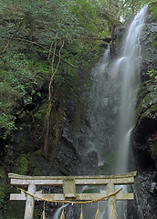 Image showing Holly waterfall