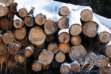 Image showing Firewood Background Winter