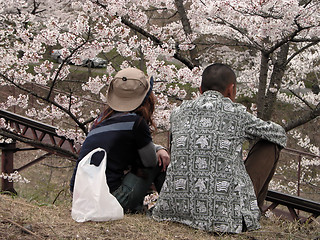 Image showing Admiring the beauty