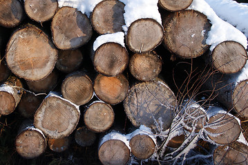 Image showing Firewood Winter Background