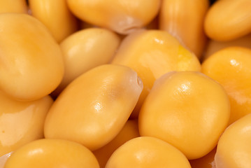 Image showing Lupin beans