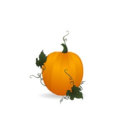 Image showing Ripe orange pumpkin