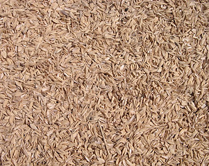 Image showing Sawdust texture