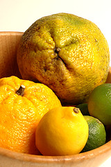 Image showing citrus