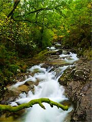 Image showing Beautiful river