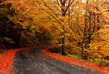 Image showing Autumn landscape