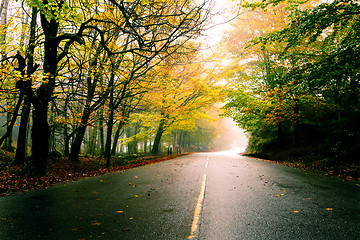 Image showing Beautiful road