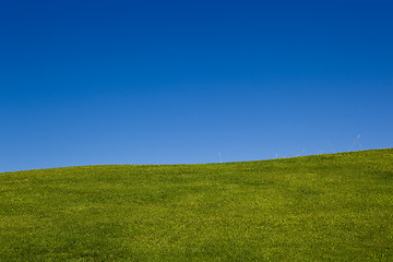 Image showing Beautiful meadow og green grass with a gret blue sky
