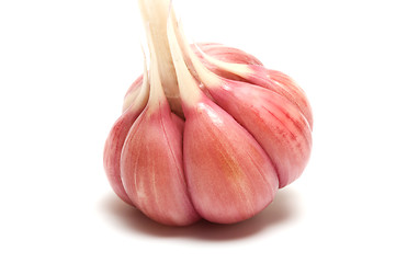Image showing Garlic.