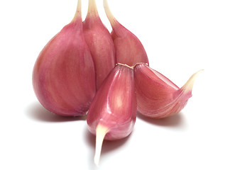Image showing Garlic.