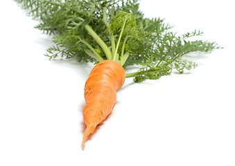 Image showing Carrot.