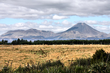 Image showing Volcano in New Zealand