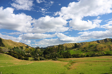 Image showing New Zealand