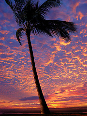 Image showing Beach at sunset