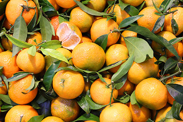 Image showing Tangerines