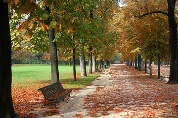 Image showing Autumn park