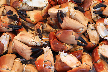 Image showing Seafood