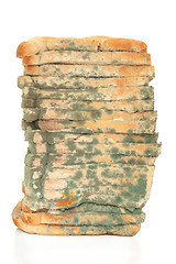 Image showing Moldy Bread Loaf