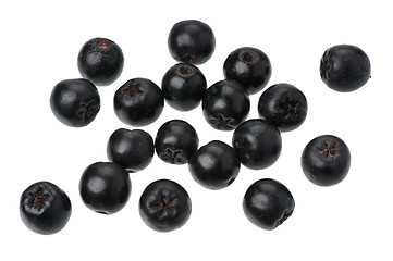 Image showing Chokeberry