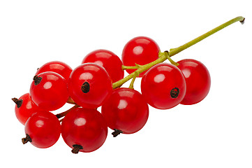 Image showing Red currant berries, isolated on a white background