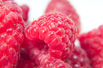 Image showing Raspberry