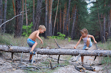 Image showing kids playing in the woods