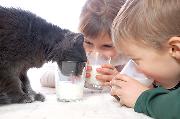 Image showing Kids and cat drinking milk together