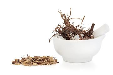 Image showing Valerian Herb Root