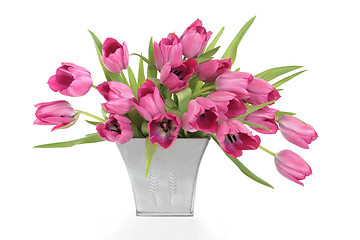 Image showing Pink Tulips