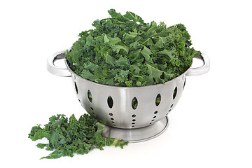 Image showing Kale Cabbage