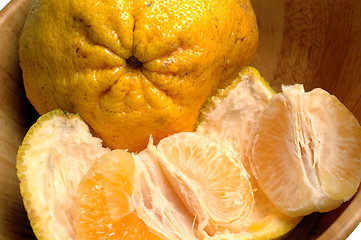 Image showing citrus