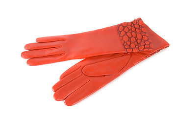 Image showing female leather gloves