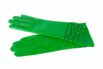 Image showing female leather gloves