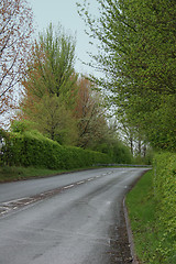 Image showing A country lane in the spring