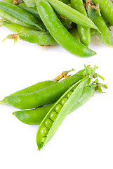 Image showing Ripe pea