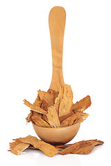 Image showing Astragalus Root