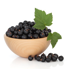 Image showing Blackcurrant Fruit