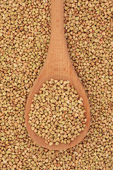 Image showing Buckwheat