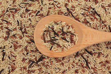 Image showing Wild Rice