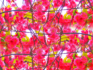 Image showing Spring abstract background