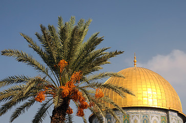 Image showing Dome of the Rock Mosque and Palm Tree