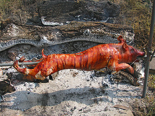 Image showing Roasted pig