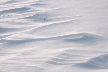 Image showing Snow