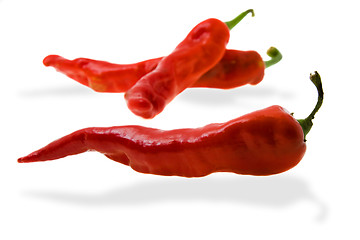 Image showing Prepared red pepper