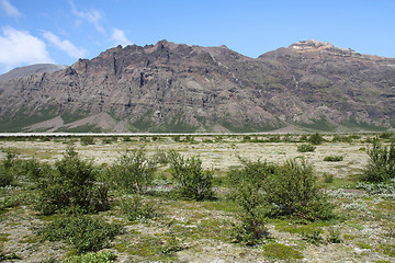 Image showing Skaftafell National Park