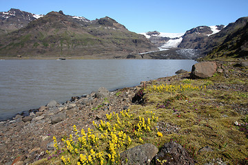 Image showing Iceland