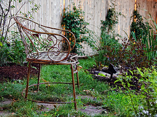 Image showing Residential landscaped garden