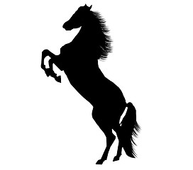 Image showing A Magnificent rearing stallion in silhouette