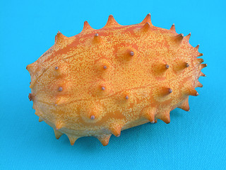 Image showing kiwano