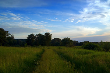 Image showing Road through the meadow